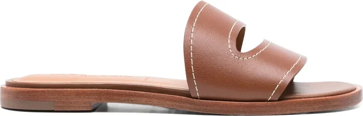 Izel slides