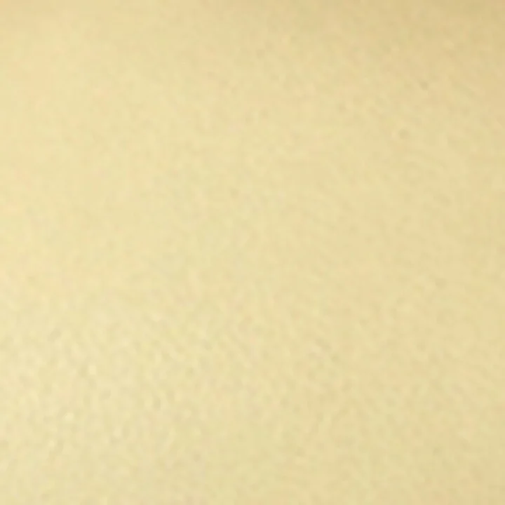 Jennifer Chamandi Leather Giuseppe Mules 85 - Image 5