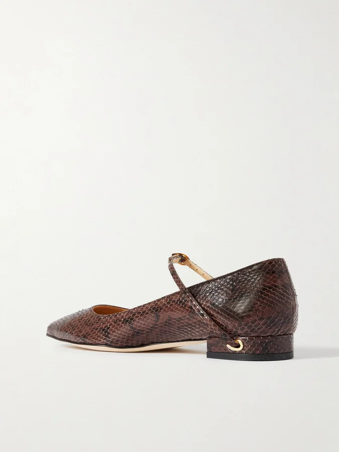 Jennifer Chamandi - Lorenzo 20 Elaphe Point-toe Flats - Brown - Image 3