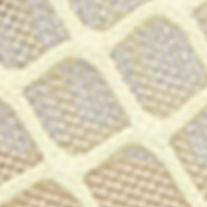Jennifer Chamandi Mesh Paolo Ballet Flats - Image 5