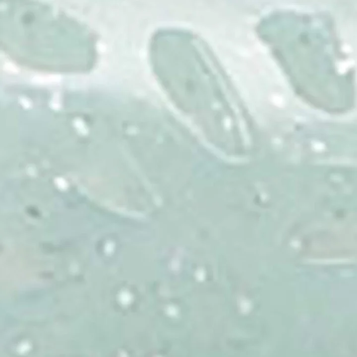 Jimmy Choo The Jelly Ballet Flats - Image 6