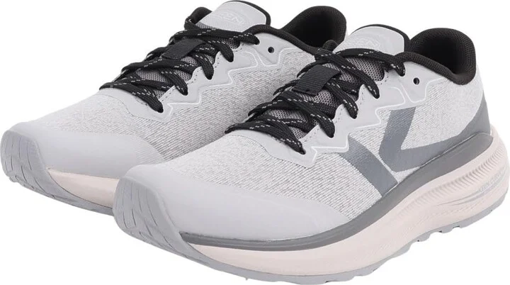 Alloy/Steel Grey