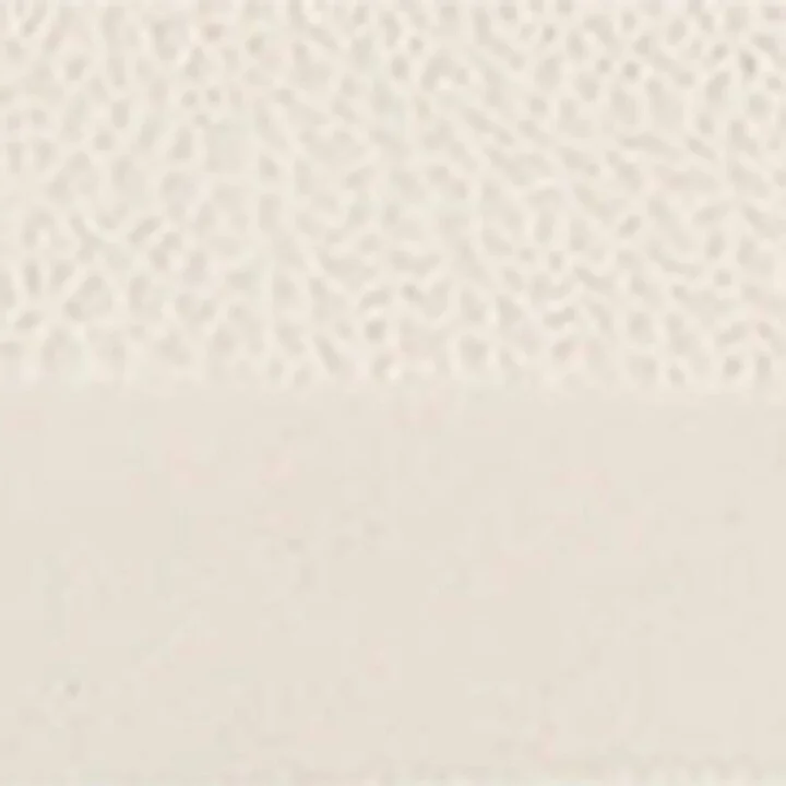 Kurt Geiger London Leather Gaspar Sneakers - Image 5