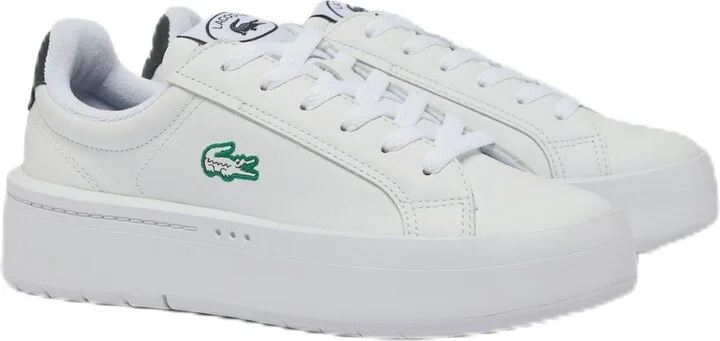 Wht/Wht