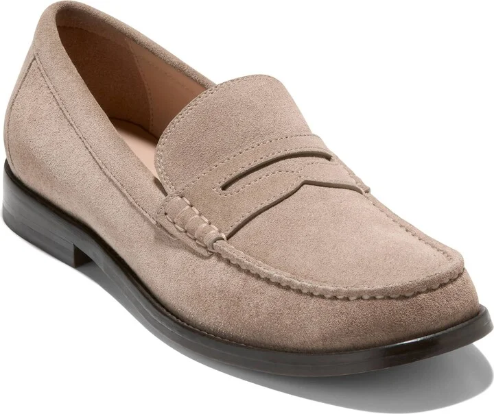 Ch Irish Coffee Suede