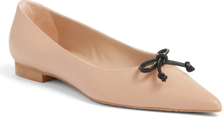 Landon Pointed Toe Ballet Flat