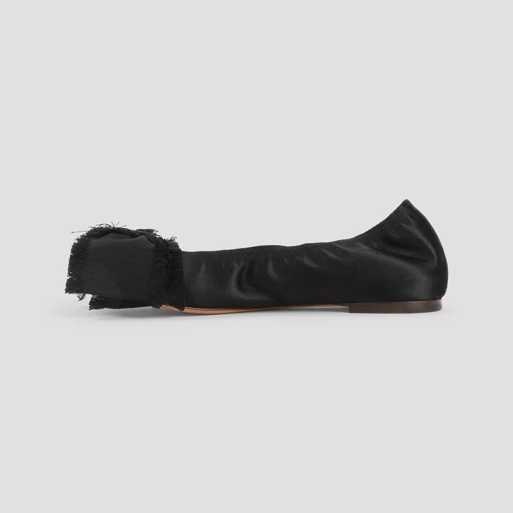 Lanvin Ballerinas - Image 2