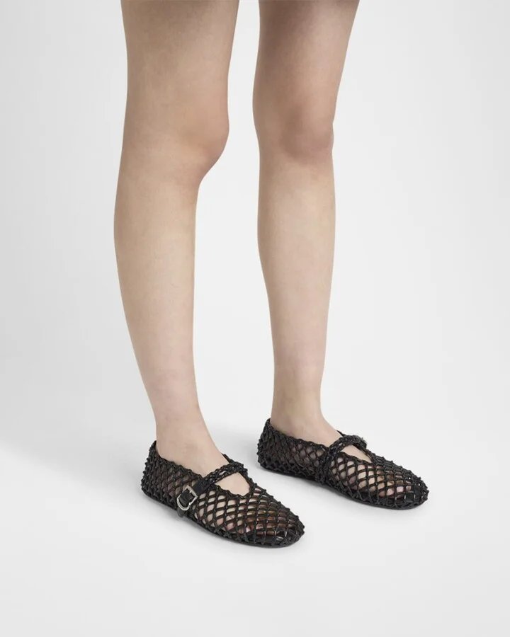 Leather Net Mary Jane Ballerina Flats - Image 4