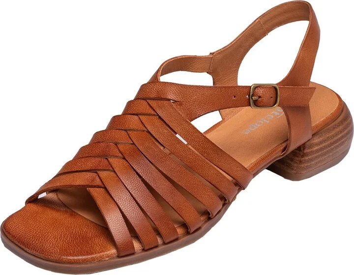 TAN