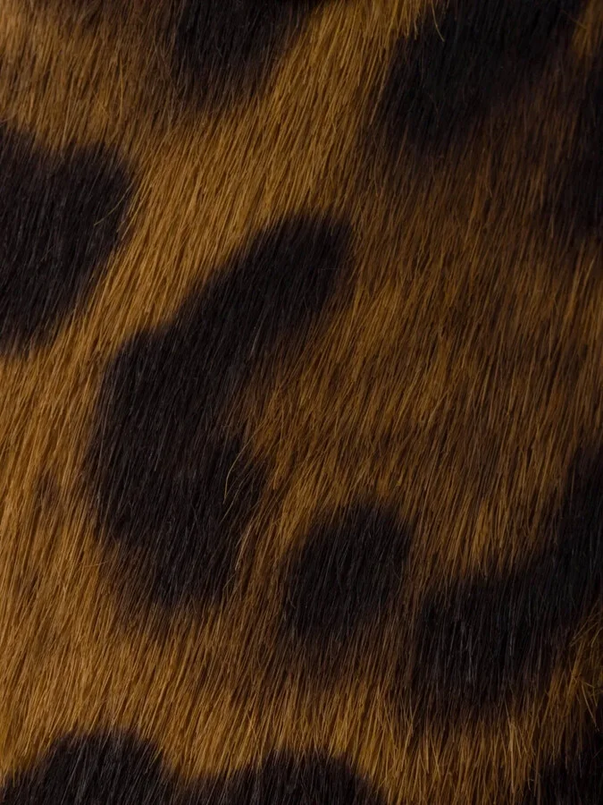 Leopard-Print Ballerina Flats - Image 5
