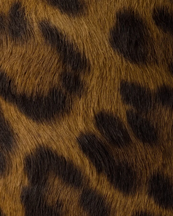 Leopard-print leather mules - Image 5