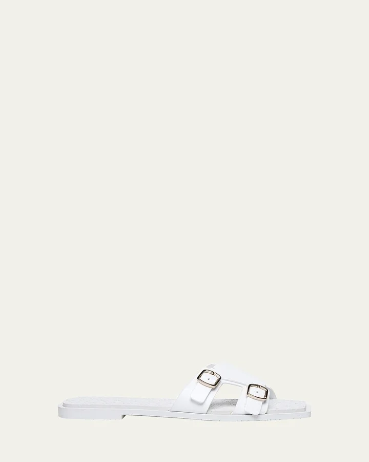 Lepus Flat Pool Slides