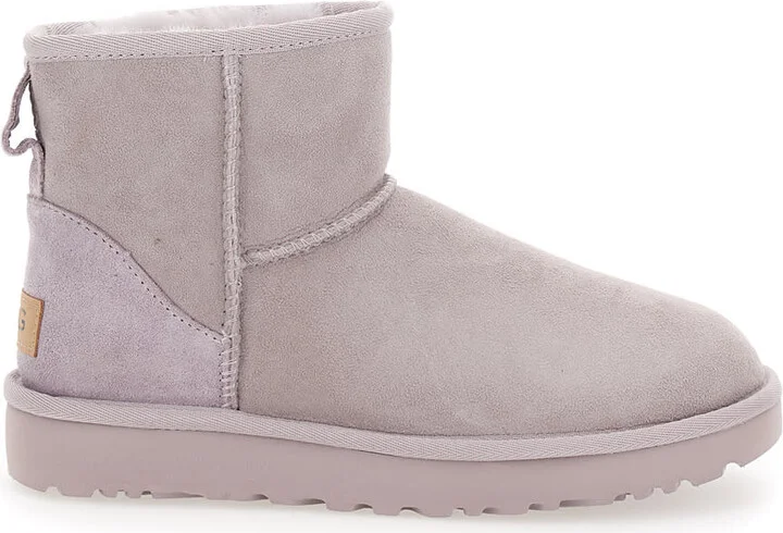 Light Gray 'mini' Boots In Suede Woman
