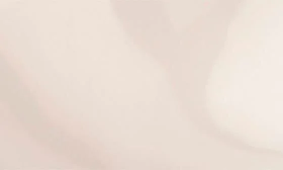 Lina Ankle Strap Platform Sandal - Image 5
