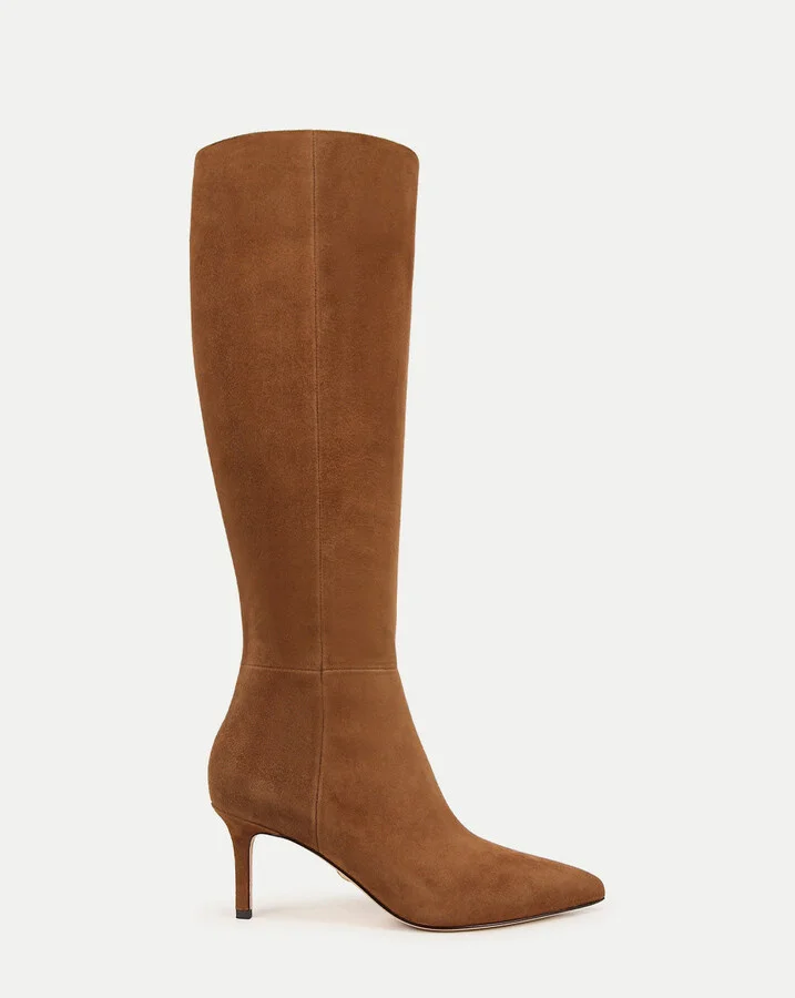 Lisa Suede Mid-Heel Tall Boot