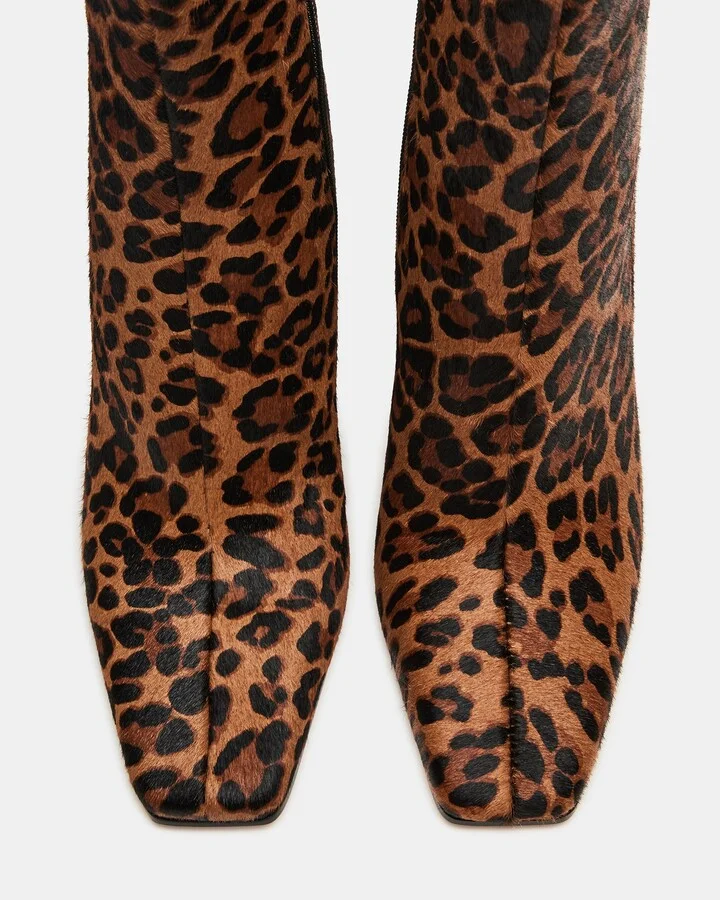 Lizabelle Leopard - Image 5