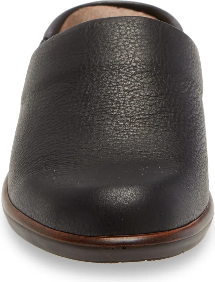 Lodos Mule - Image 4