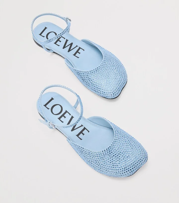 Loewe Embellished Ankle-Strap Ballet Flats - Image 4