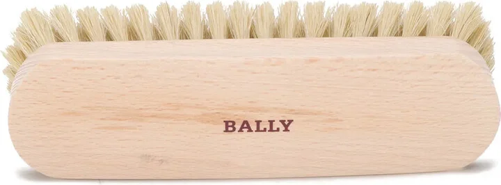 Logo Shining Brush