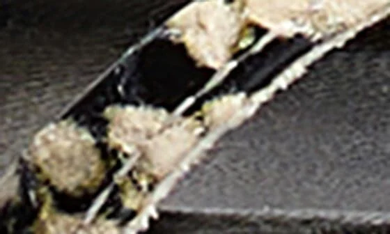 Loop Snakeskin Embossed Flat Sandal - Image 5