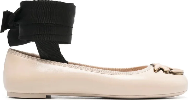 Love Birds ballerina shoes