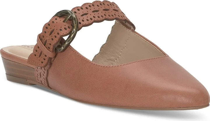 Pecan Summer Haze