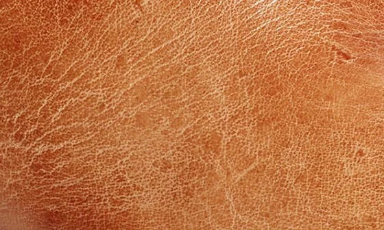 Lydyi Bootie - Image 7