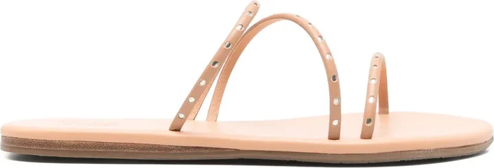 Lynx slides