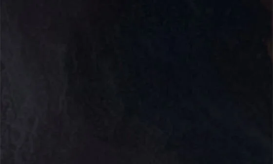 Mabi Pointed Toe Pump - Image 6