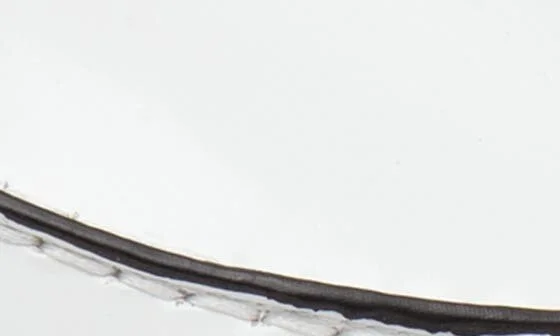 Marcy Derby - Image 7