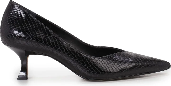 Black Snake