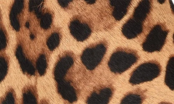Maribu Leopard Print Genuine Calf Hair Bootie - Image 7