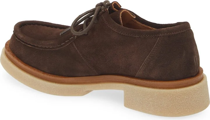 Maya Chukka Derby - Image 2