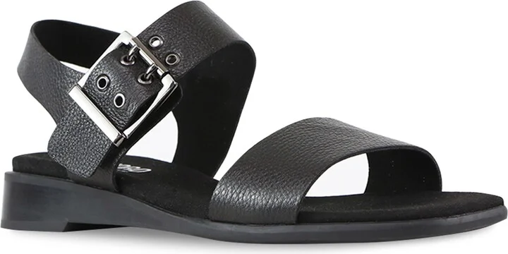 Meena Sandal