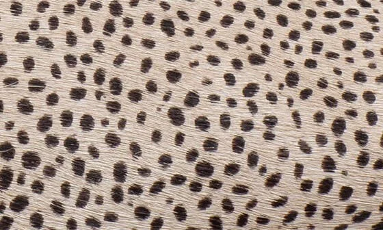 Meghan Genuine Calf Hair Flat - Image 7