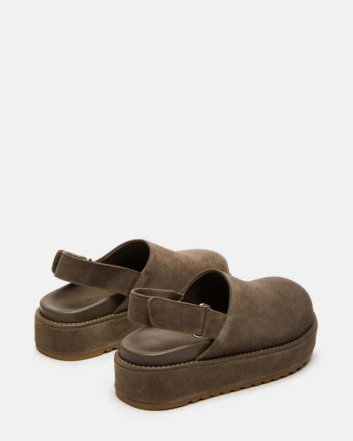 Mellow Grey Sage - Image 6