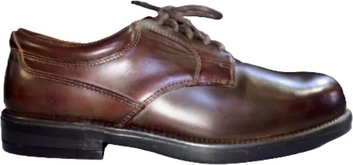 Men's Campbell Lace Up Dress Shoes In Brown Smooth