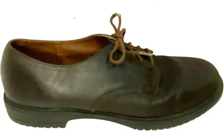 Men's Norfolk Moc Toe Shoes In Brown