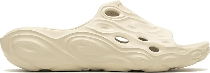 Oyster