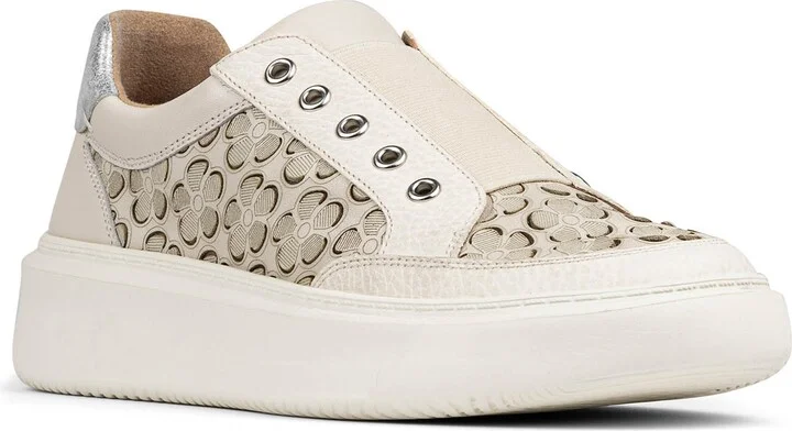 Foam