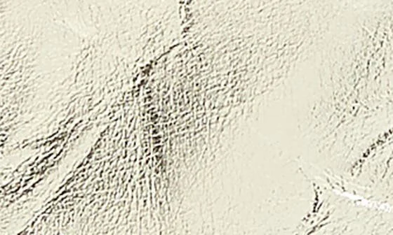 Milly Pointed Toe Bootie - Image 7