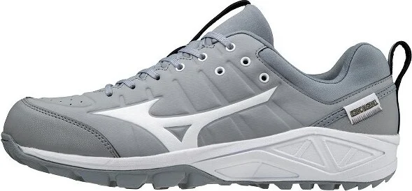 Mizuno Mizuno Ambition 2 All Surface Low Turf Shoe