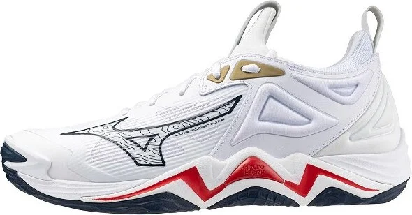 Mizuno Wave Momentum 3 Men's Volleyball Shoe