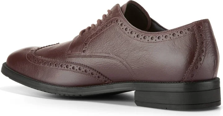 Modern Essentials Wingtip Oxford - Image 2