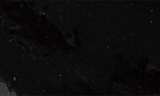 Monroe Block Heel Mary Jane - Image 6