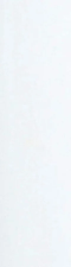 Moon Boot Icon Low Ankle Boots - Image 5