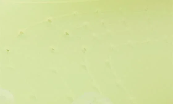 Mostro Jelly Sneaker - Image 7