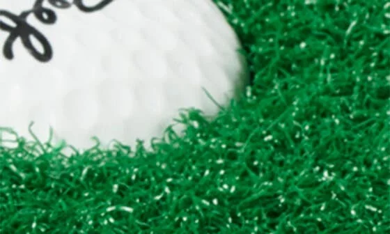 Mulligan Golf Slide - Image 10