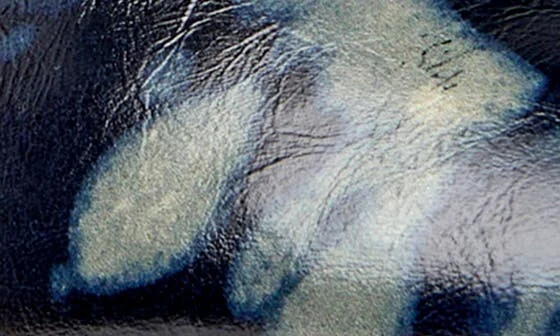 Myra Flat - Image 6