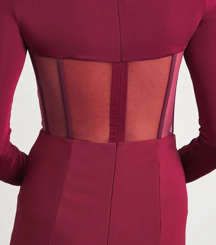 Nensi Dojaka Mesh Corseted Midi Dress - Image 6